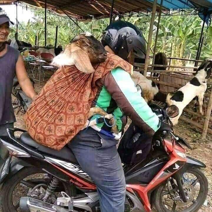 instagram.com/dagelan_jatim