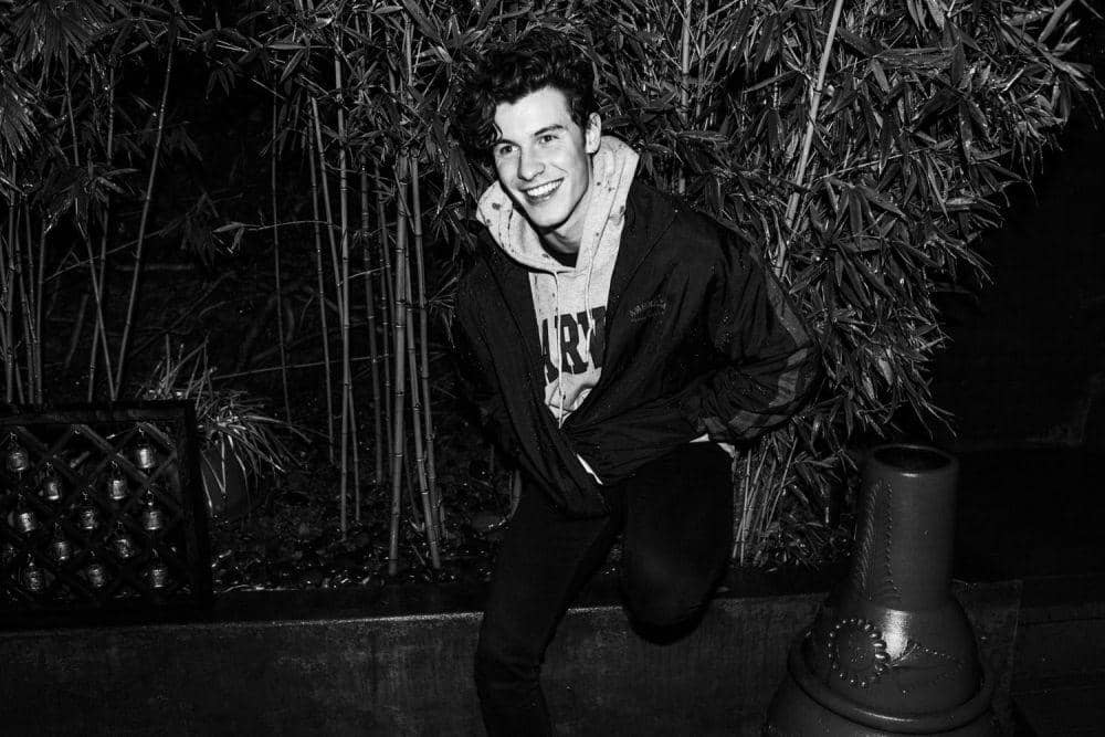 twitter/ShawnMendes