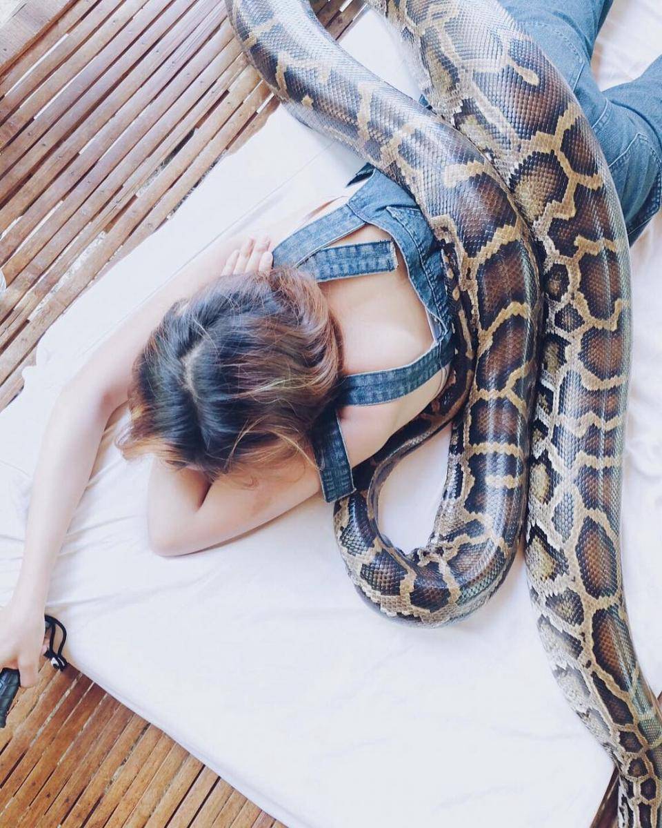 Instagram.com/colzvidal