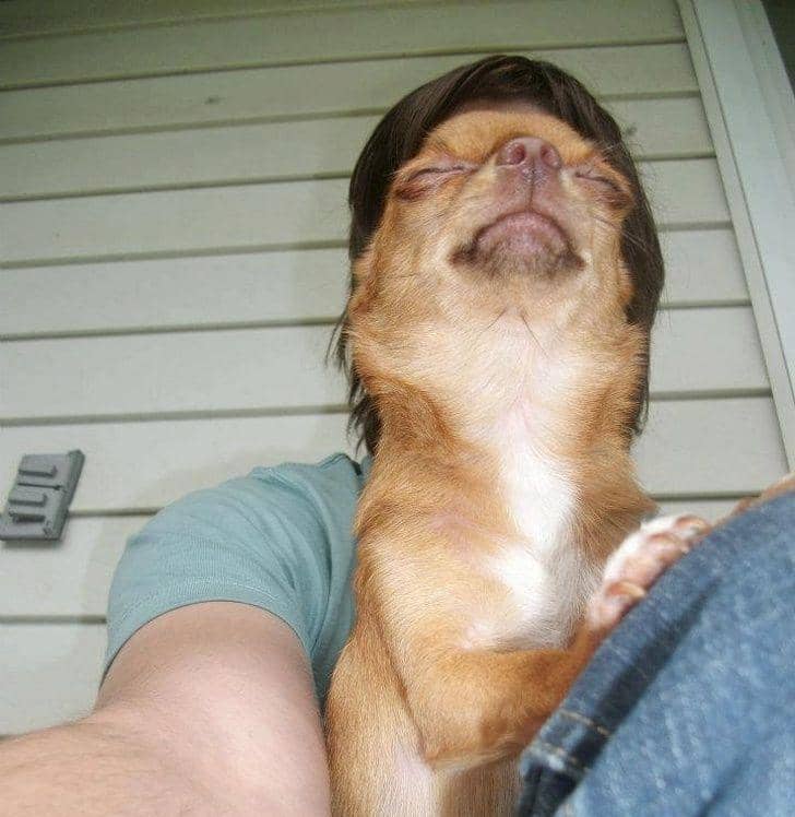 Imgur.com/CallMeEiffelPlower