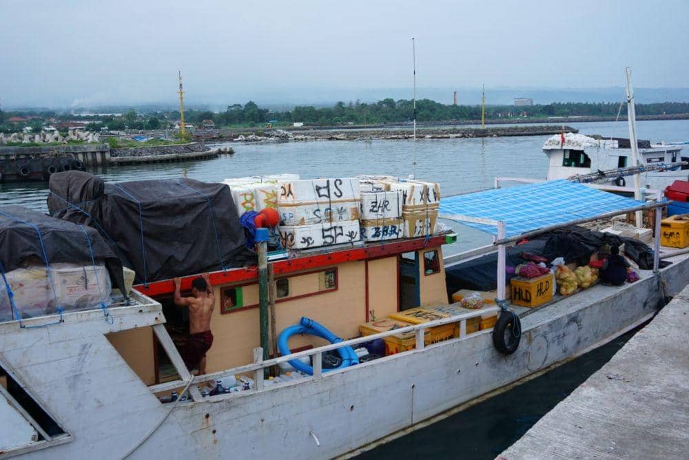 IDN Times/Mohamad Ulil Albab