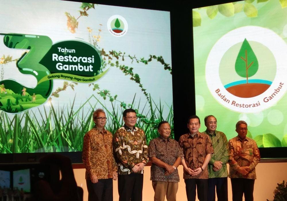 IDN Times/Mulyani Citra Setiawati