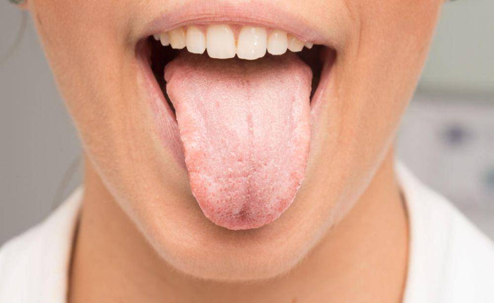 smartmouth.com