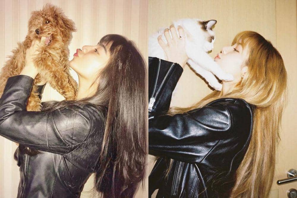 instagram.com/felicyangelista_