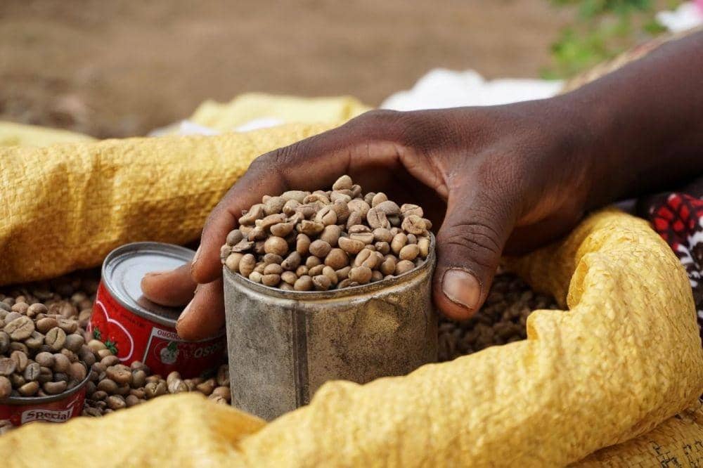 perfectdailygrind.com