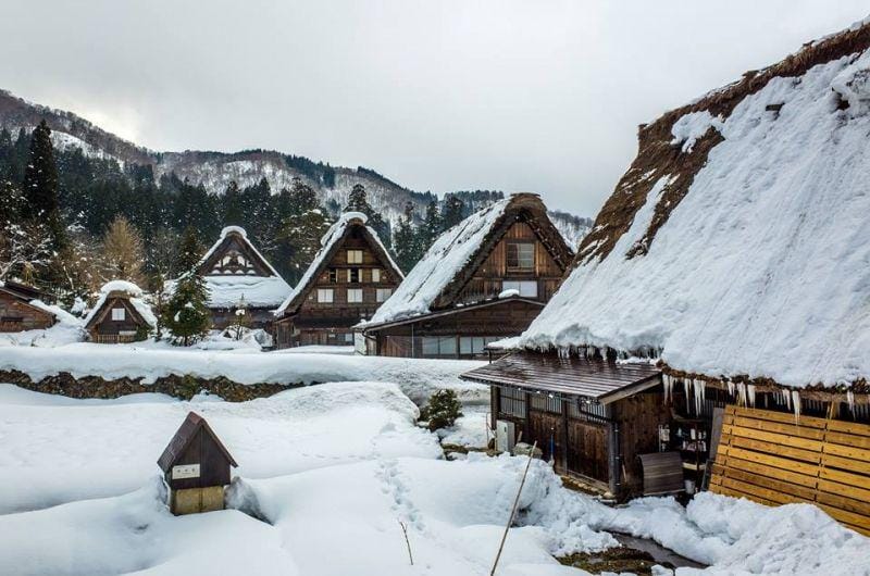 Colin Tsoi on Flickr