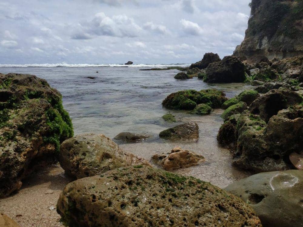 IDN Times/Rahardian Shandy