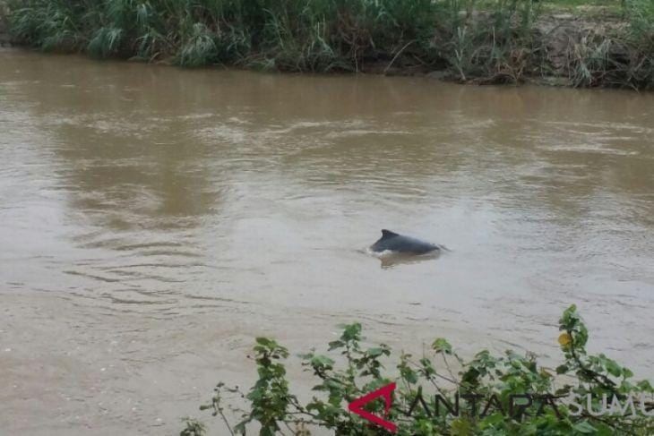 Antara Sumut/Sukardi