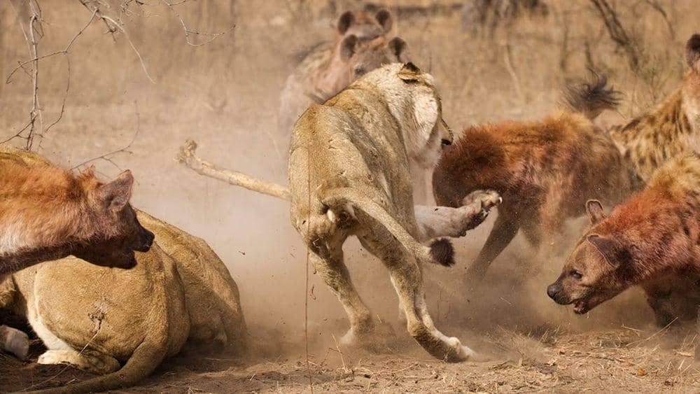 youtube.com/storytender