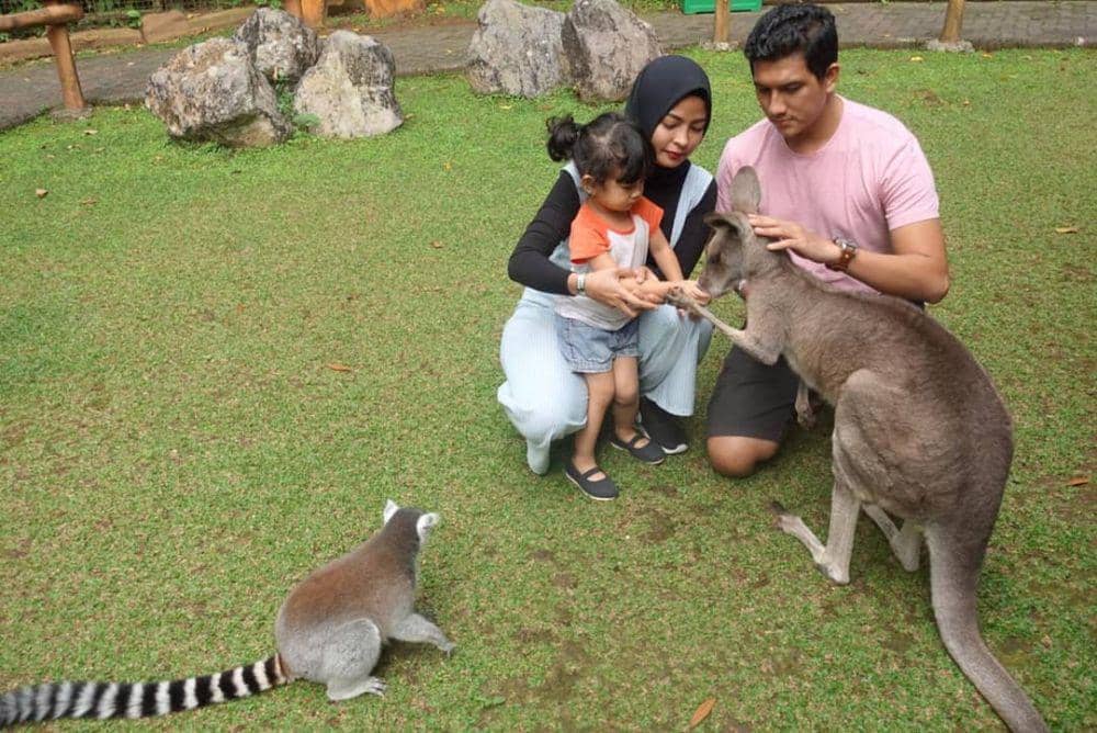 instagram.com/karanamedina