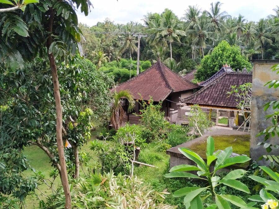 IDN Times/Wayan Antara