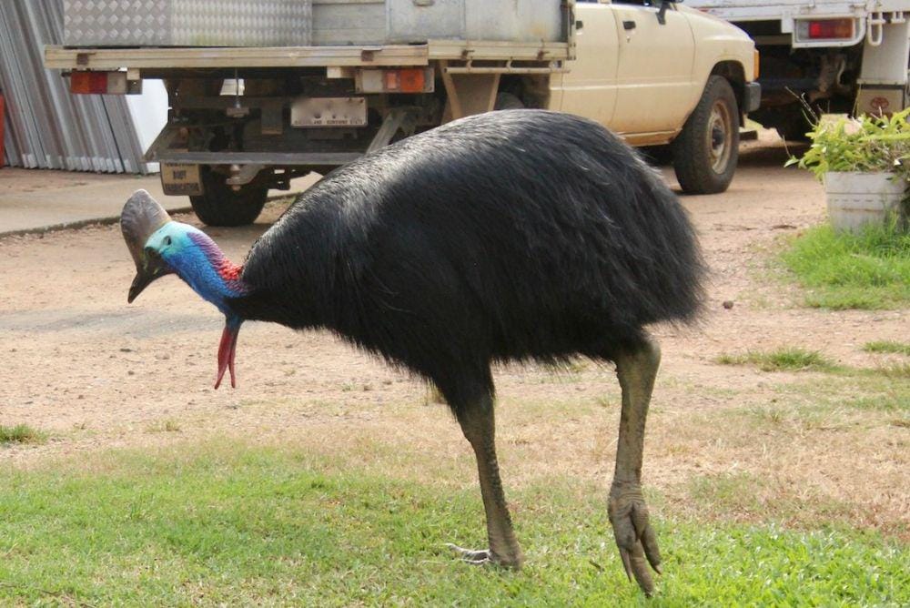 Lateralmovements.com