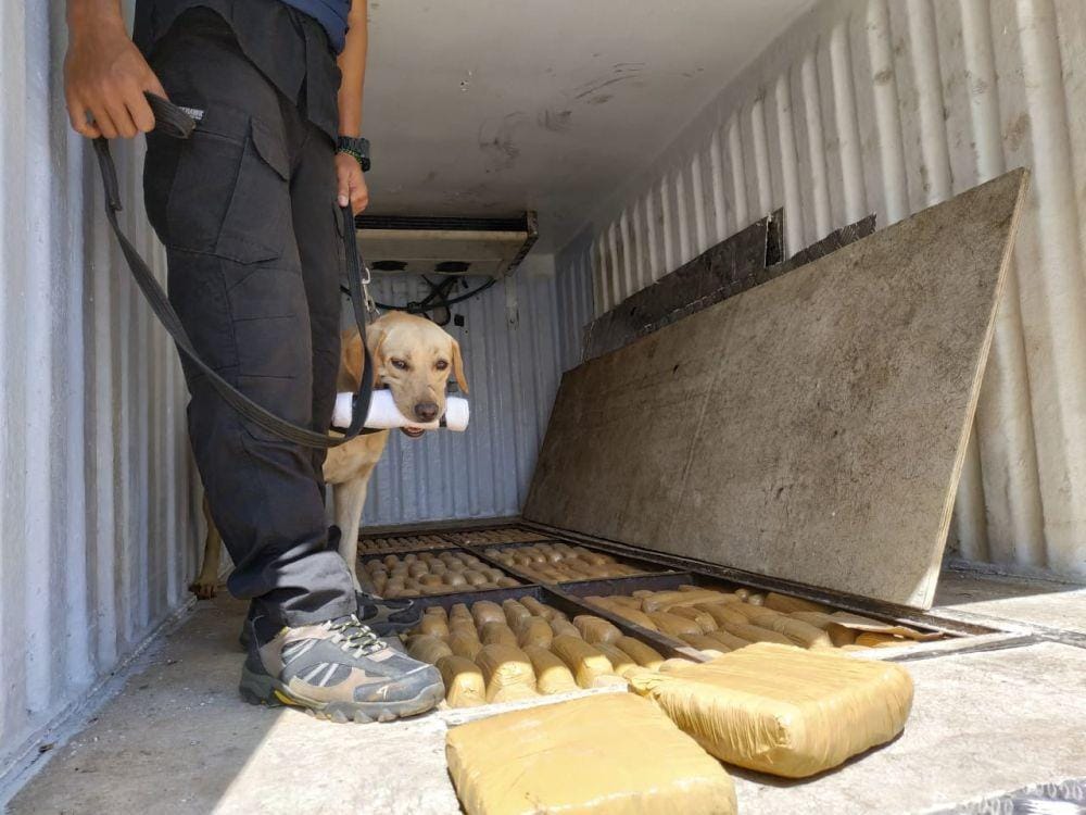 Axel Jo Harianja/IDN Times