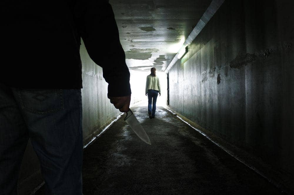 shutterstock.com/ChameleonsEye