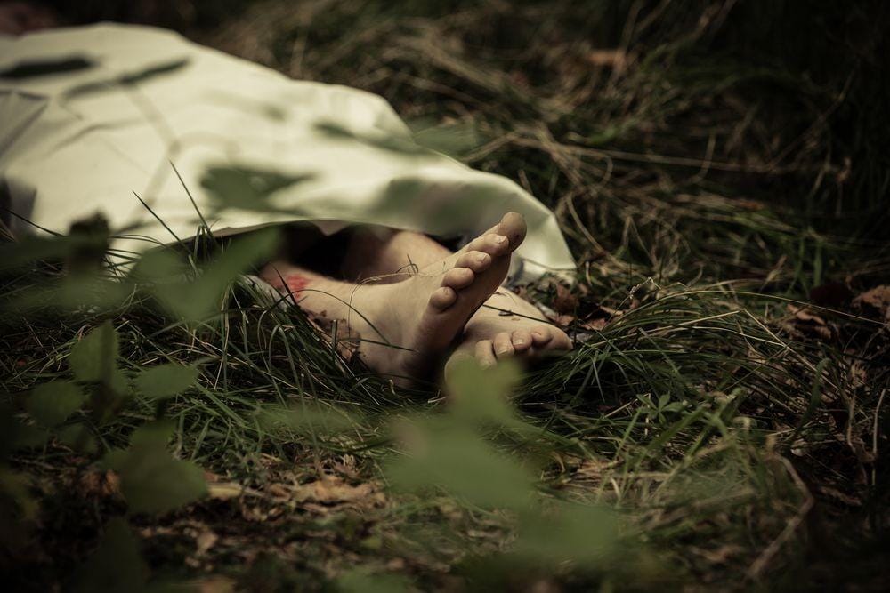 shutterstock.com/Jan H Andersen