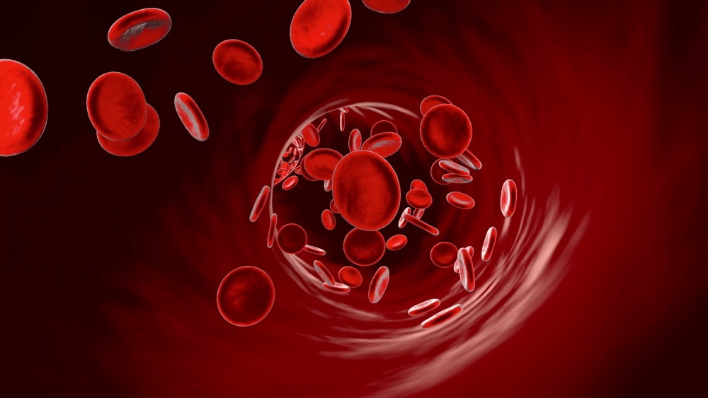 d2v9y0dukr6mq2.cloudfront.net