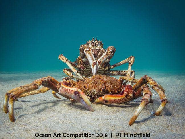 uwphotographyguide.com