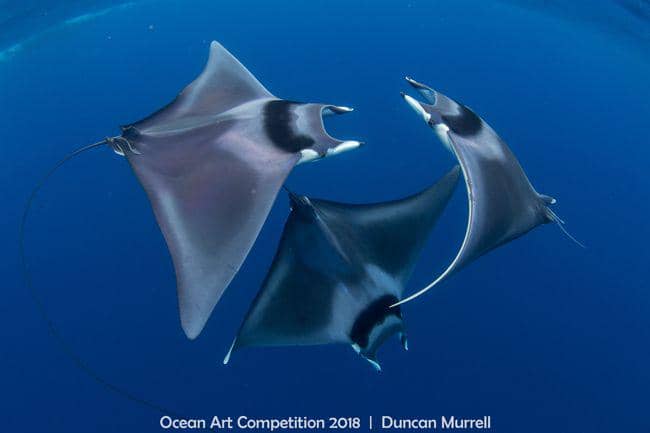 uwphotographyguide.com