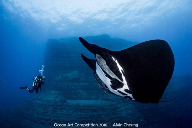 uwphotographyguide.com