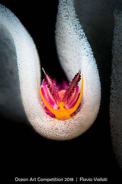 uwphotographyguide.com