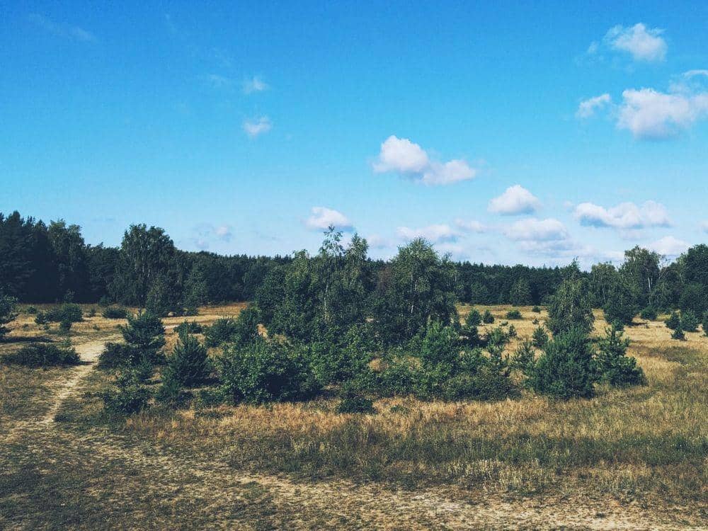 Pexels.com/Bruno Joseph