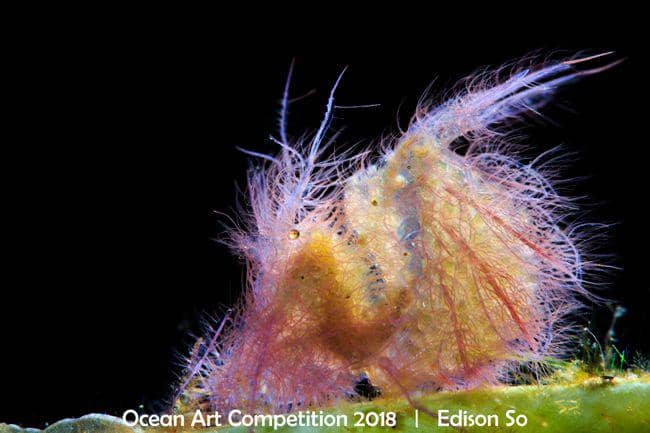 uwphotographyguide.com