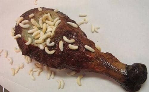 oddstuffmagazine.com