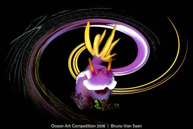 uwphotographyguide.com