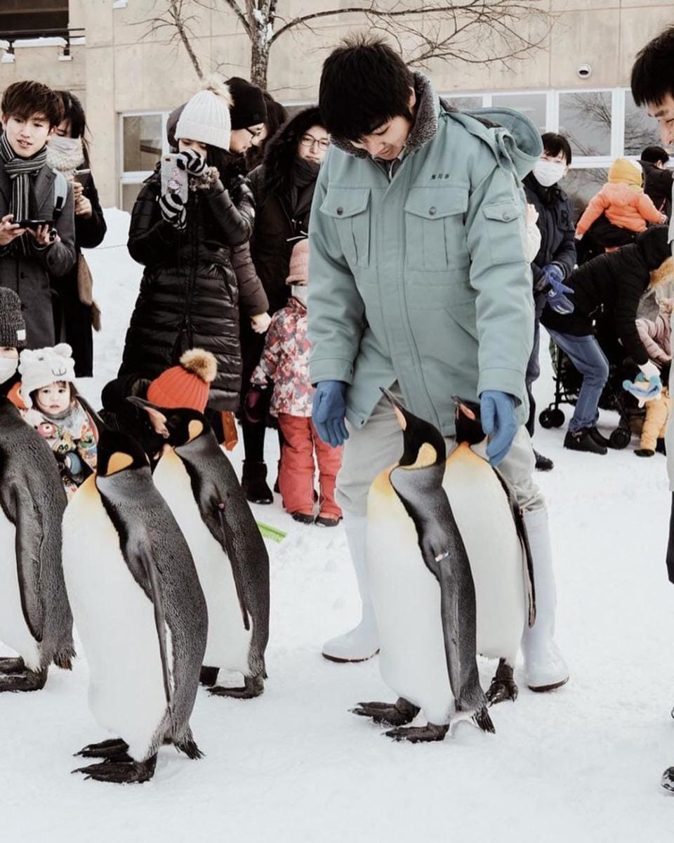 instagram.com/enzystoria