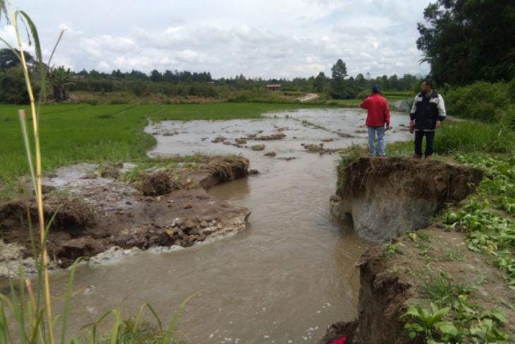 Antara Sumut/Rinto Aritonang