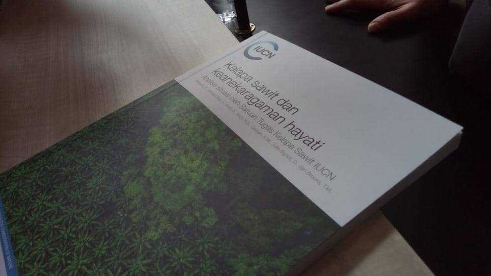 IDN Times/ Helmi Shemi