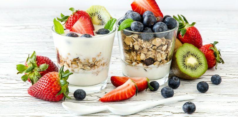 yogurtinnutrition.com