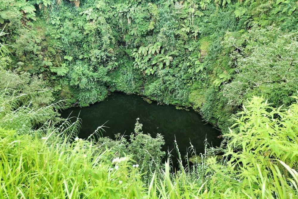 instagram.com/14torry