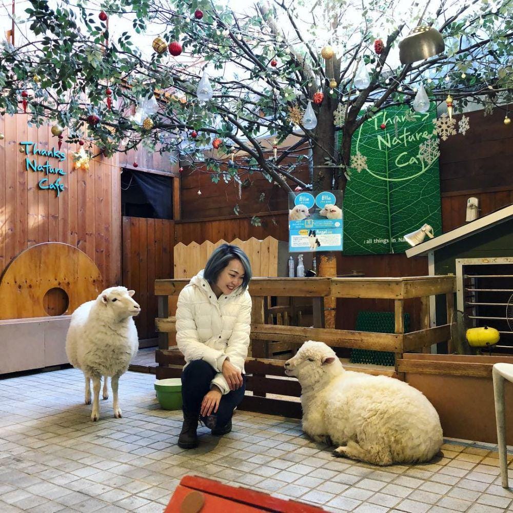 instagram.com/yvonnetham