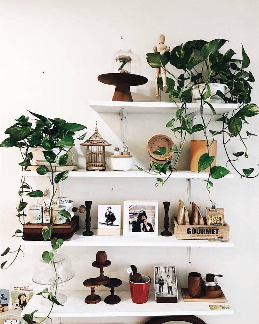 homeguides.sfgate.com