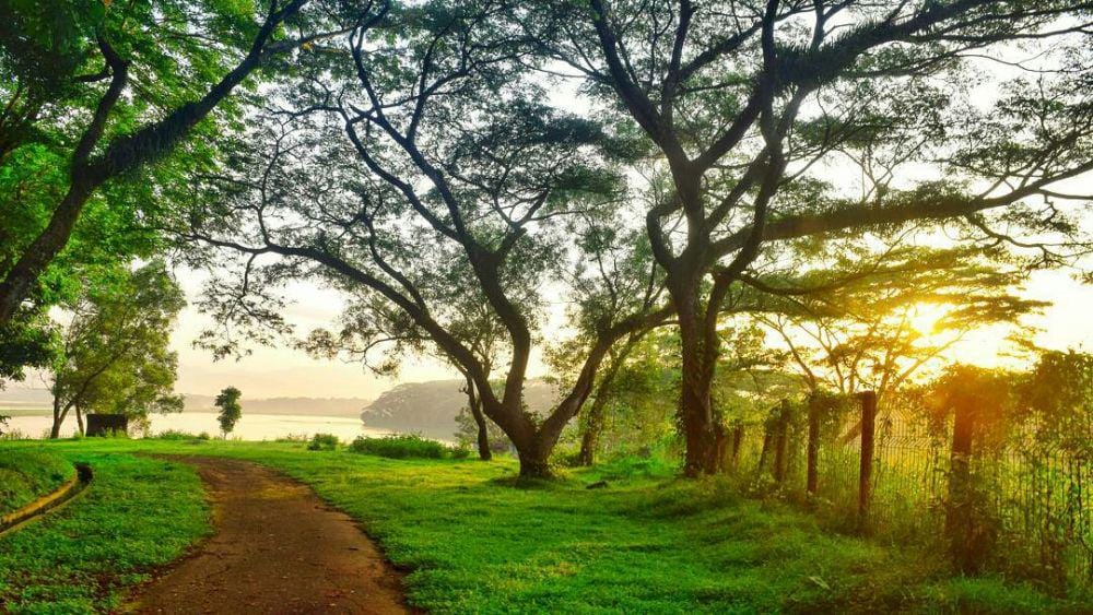 instagram.com/kangdiran