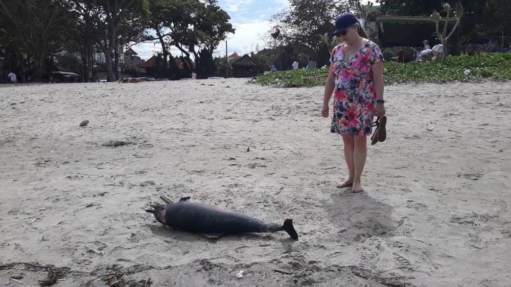 IDN Times/ Imam Rosidin