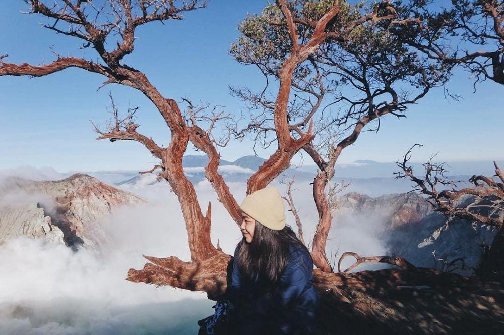 instagram.com/jovanishaloom