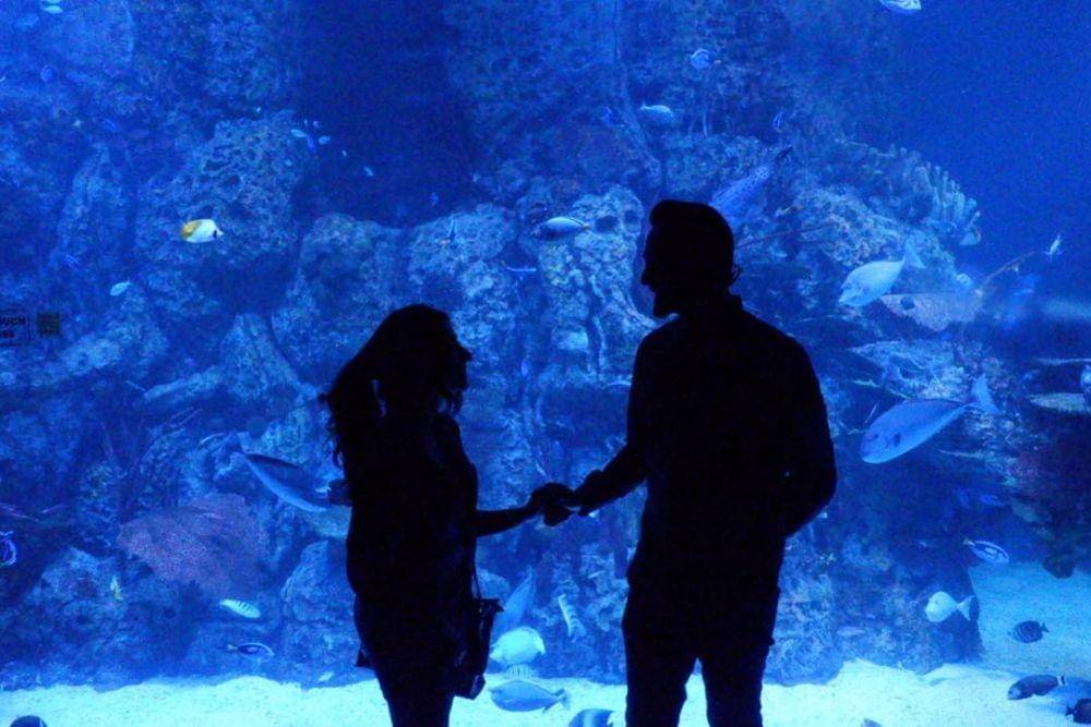 Instagram.com/rizkinanazarr