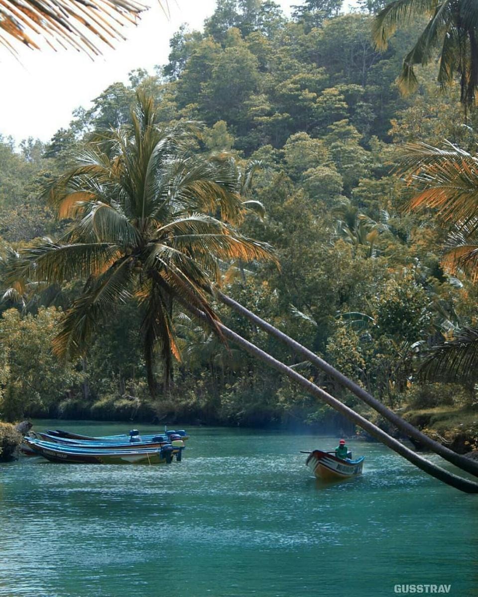 instagram.com/gusstrav