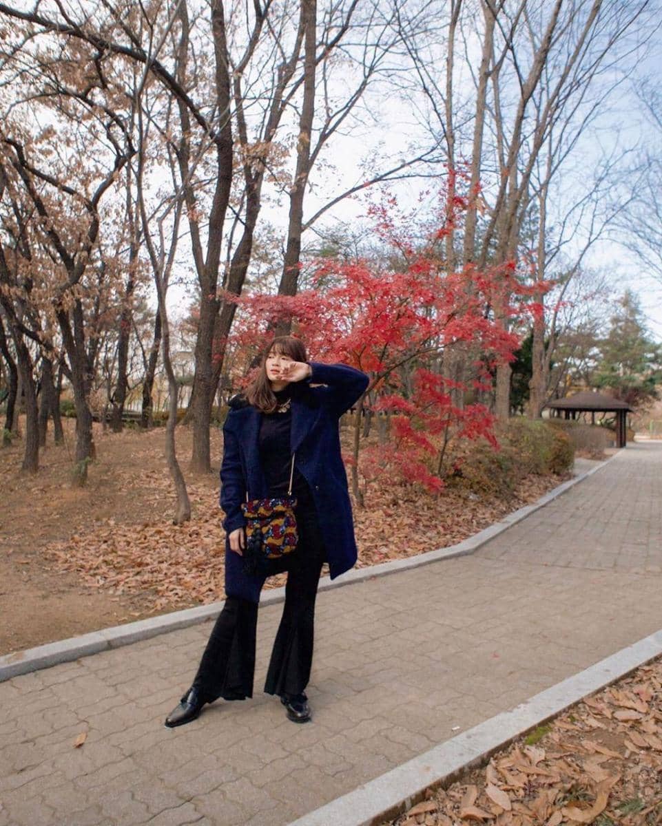 Instagram.com/furrycitra