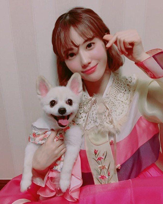 Instagram.com/wjsn_cosmic