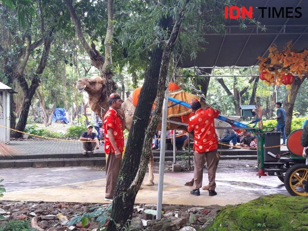 IDN Times/Fitria Madia