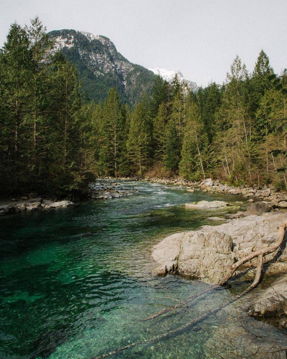 instagram.com/colesprouse