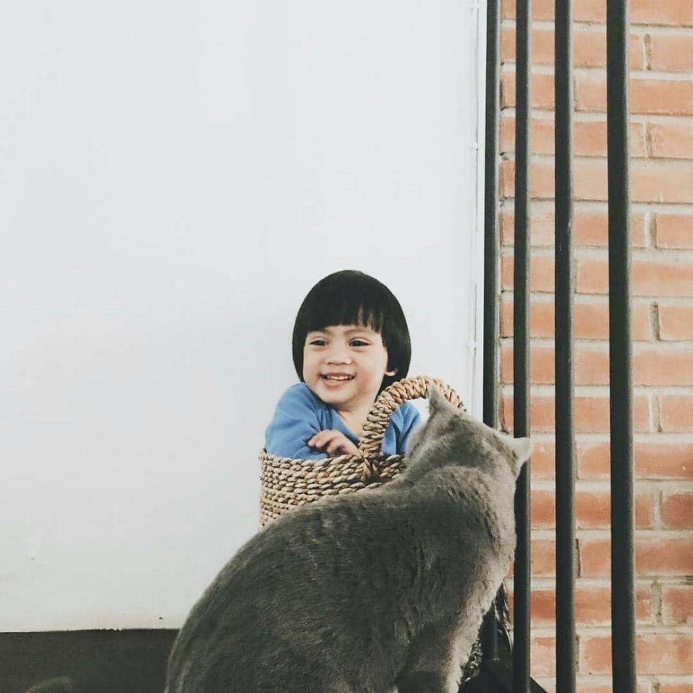 instagram.com/dittopercussion