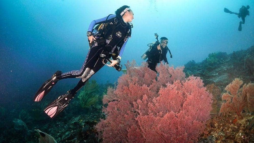 Instagram.com/nadinelist