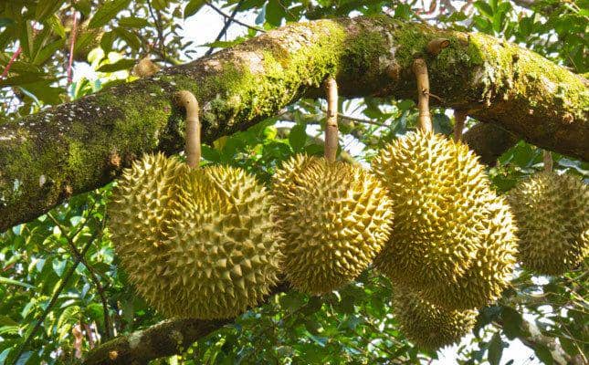 flickr.com/Eats & Retreats