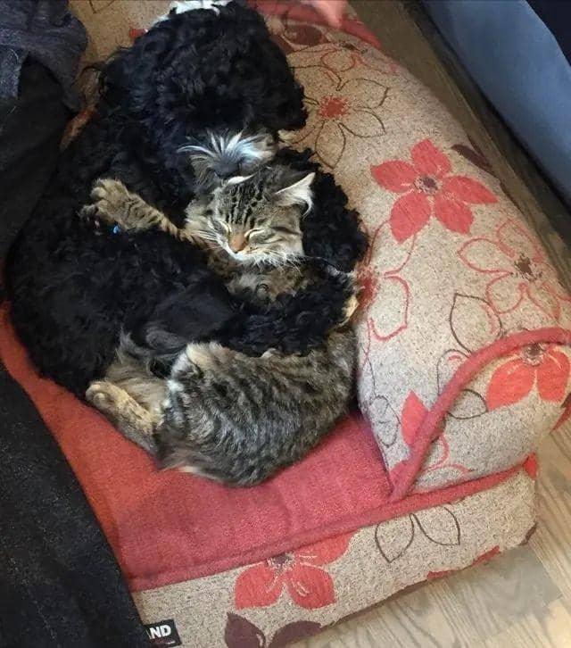 Reddit.com/jstrell21