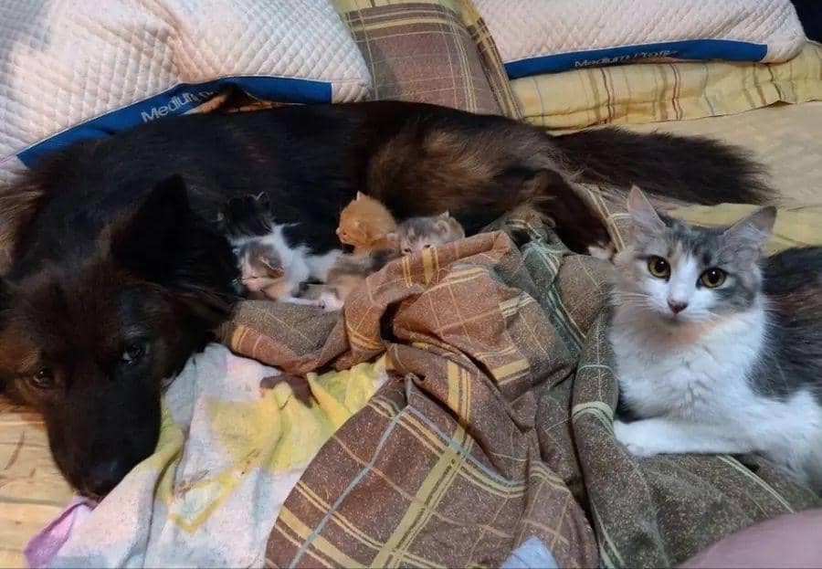 Reddit.com/Top_secret_burger