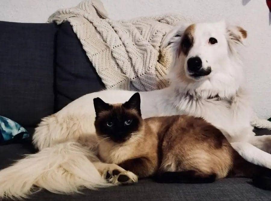 Reddit.com/ktrstiles